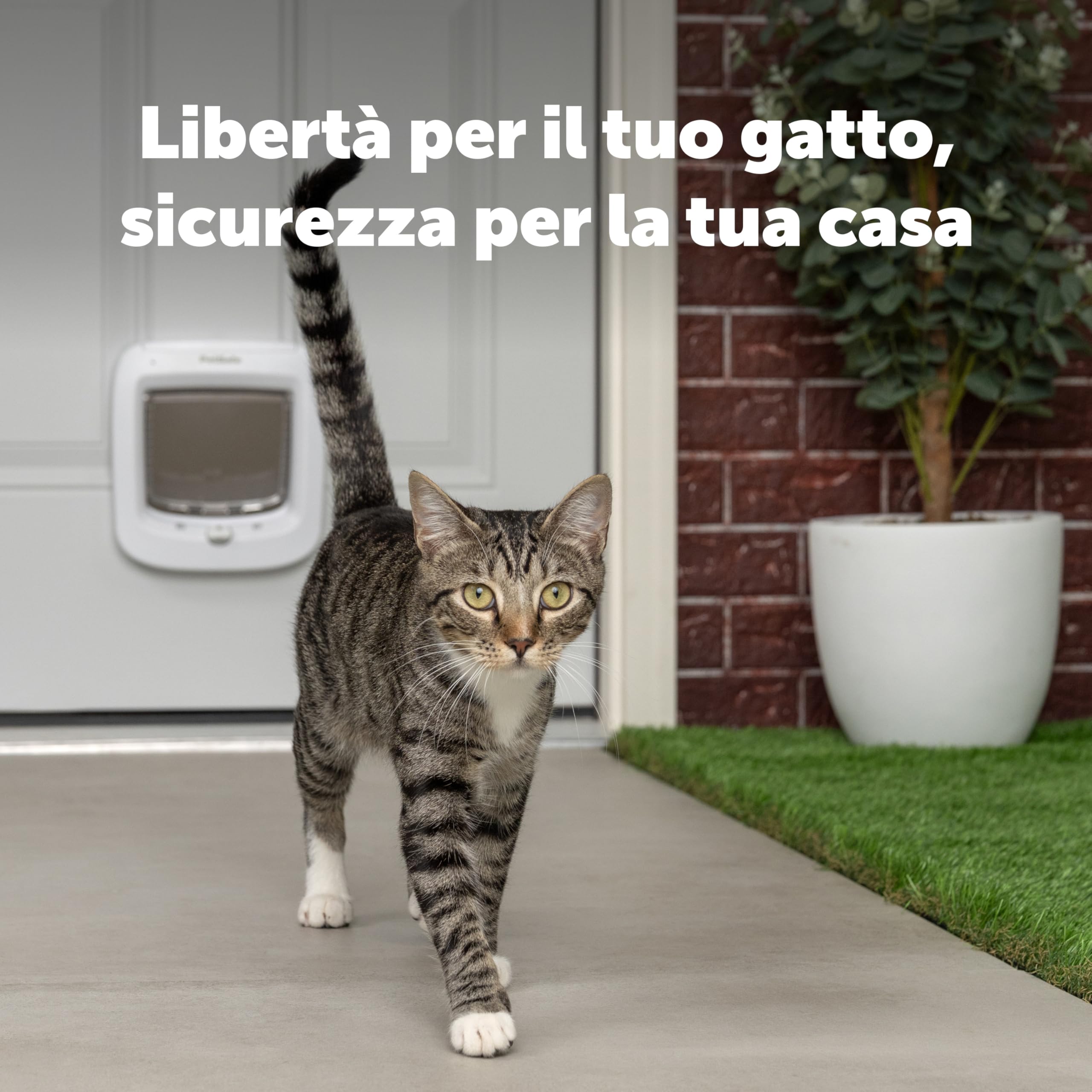 PetSafe Porta per Gatti Microchip - Gattaiola Esterna o Interna - Accesso RFID Multi-Utente per Fino a 40 Animali - Blocco a 4 Vie, Resistente alle Intemperie, Installazione Fai-da-te Facile - Bianca
