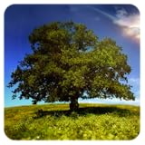 Laden und Speichern HD Wallpaper