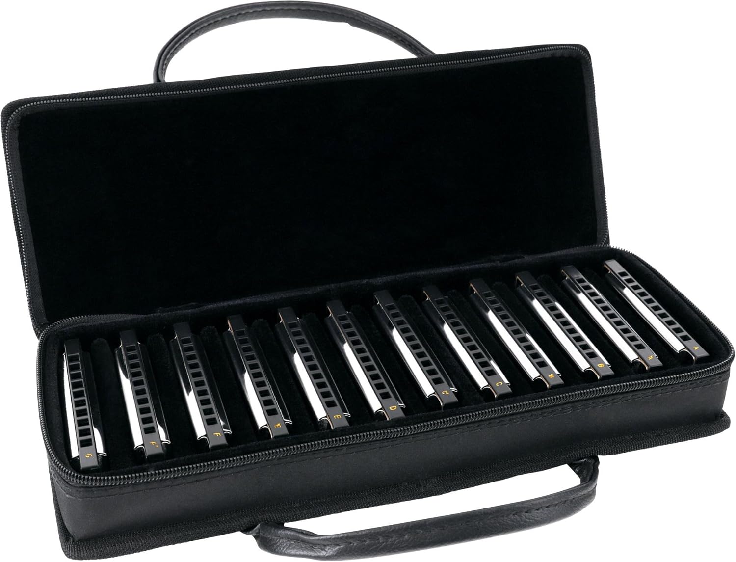 12er Classic Cantabile Blues Harmonica Starter Set"Louisiana" (Set