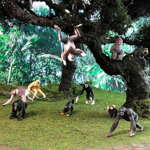 Miniatura 2 de Safari Ltd. Primates TOOB - Figuras de varios monos - Divertido juguete educativo para niños, niñas y niños a partir de 3 años