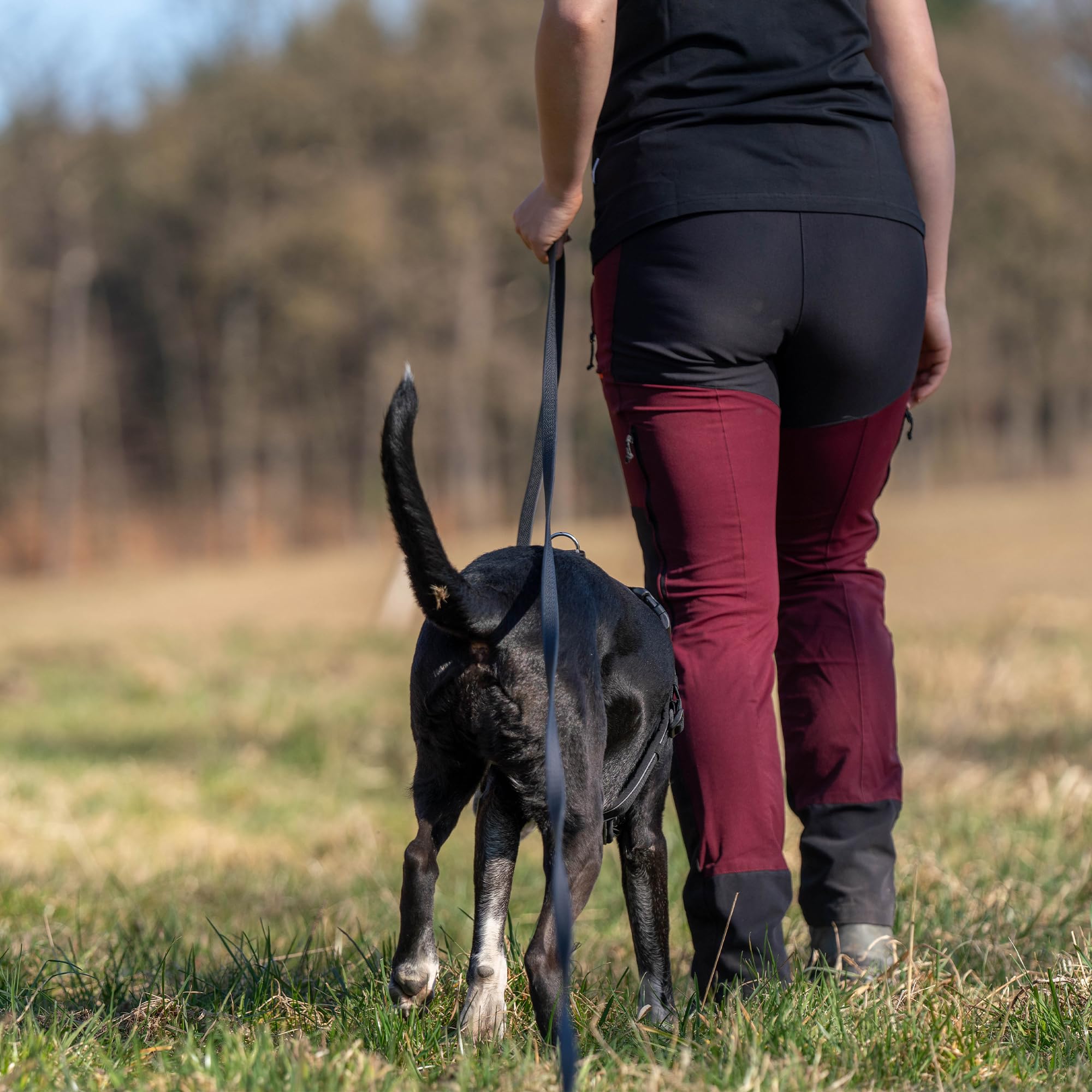 SPRENGER Footballgrip BioThane Schleppleine 10 m - ohne Handschlaufe, schwarz - robuste Hundeschleppleine für Training, Arbeit und Alltag