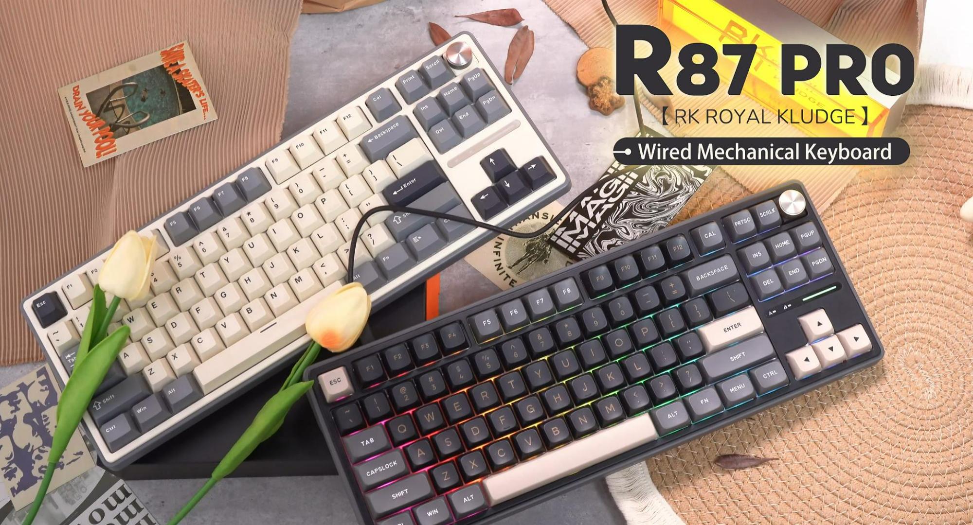 Amazon.com: RK ROYAL KLUDGE R87 Pro Wired Mechanical Keyboard with