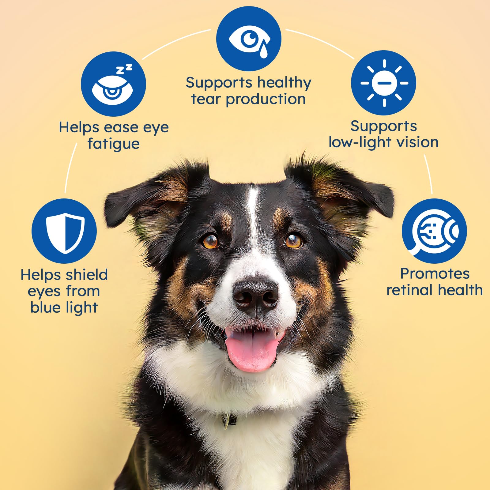 Vision Chews for Dogs Chicken 150 Count with Lutein and Bilberry — Amazon image 3