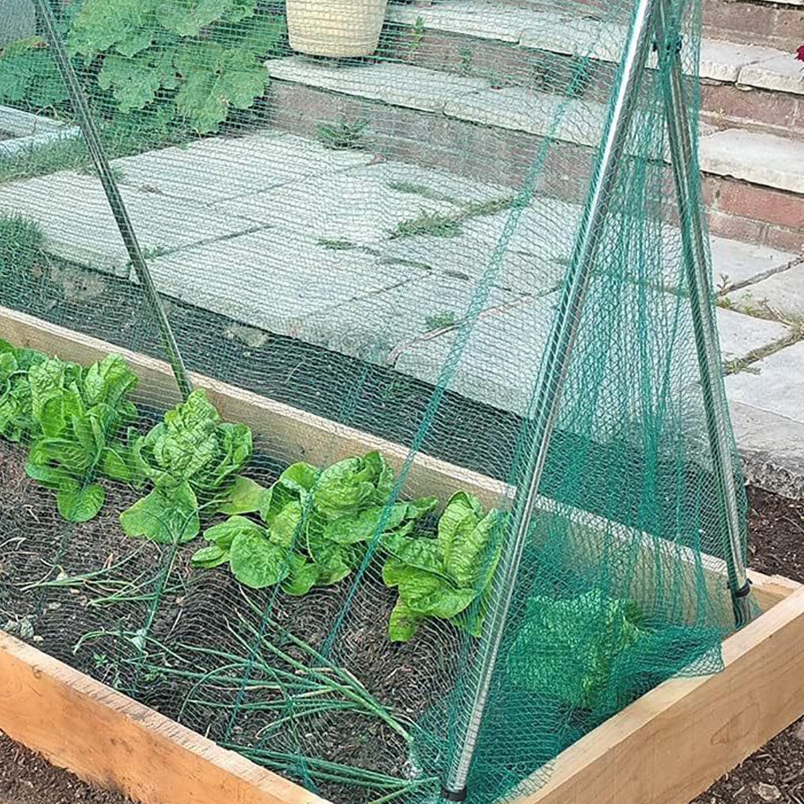 Red antipájaros de jardín Barrera Protectora, Malla cubreplantas, Protector | Malla para jardín Verduras, Árboles frutales, Gallinero, Plantas balcón, Protección