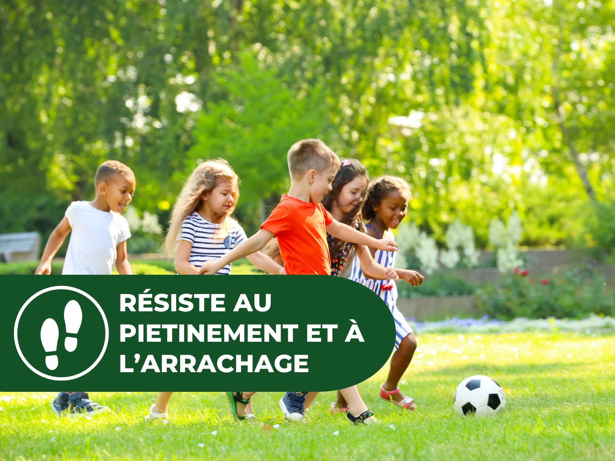 SOLABIOL Engrais Gazon Longue Durée - Sac 10 Kg - Jusqu'à 330m² - Améliore la tolérance à la sécheresse - Résiste au piétinement - Gazon Plus Dense & Plus Vert SOGAZY10BP