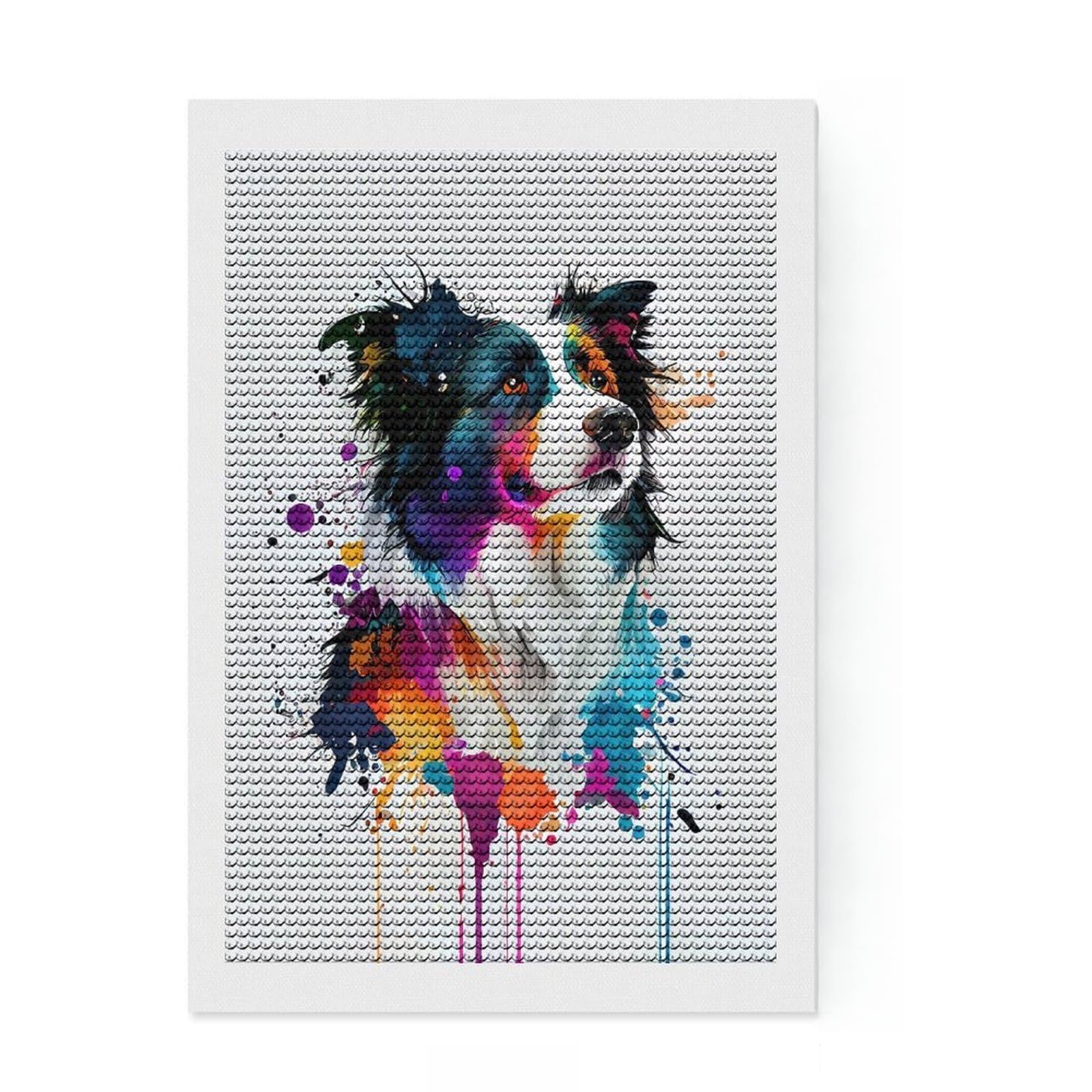 Junmoney Border Collie Round Drill Diamond Painting 8"x12", with Tool Kit, Easy to Follow Symbols, Farmhouse Decor, for Craft Lovers