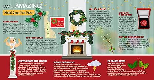 Miniatura 4 de Madd Capp Holly - Rompecabezas de 350 piezas para edades de 10 años en adelante, borde único en forma floral, caja de lujo de 5 lados, incluye datos