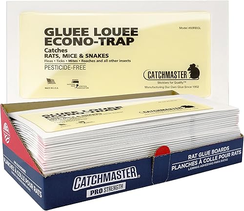 Catchmaster Gluee Louee - Trampas extra grandes para ratas, 30 unidades, trampas de pegamento resistentes, trampas para ratones para el hogar,