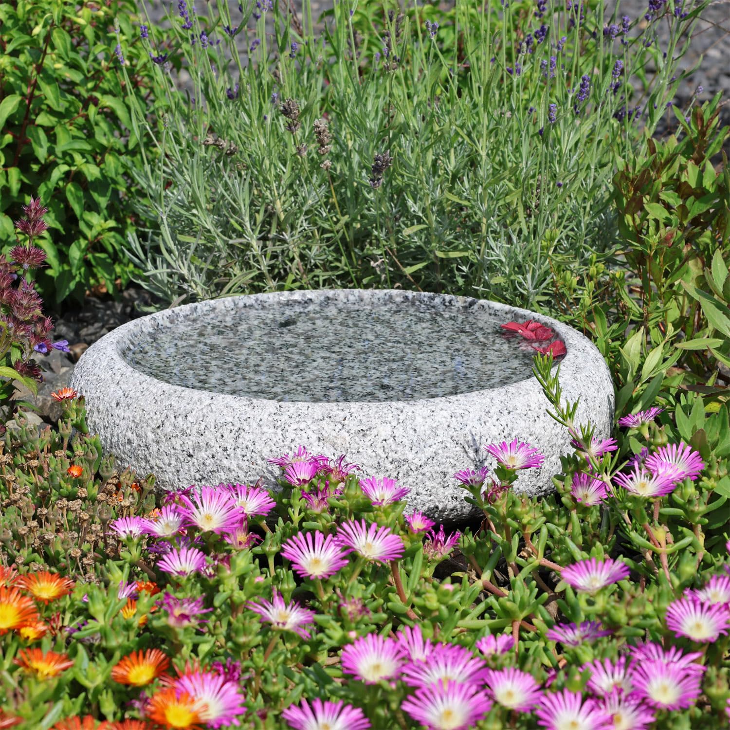 CLGarden Granit Vogelbad Ø 35cm rund Vogeltränke Naturstein Garten Boden Tränke frostsicher Stein