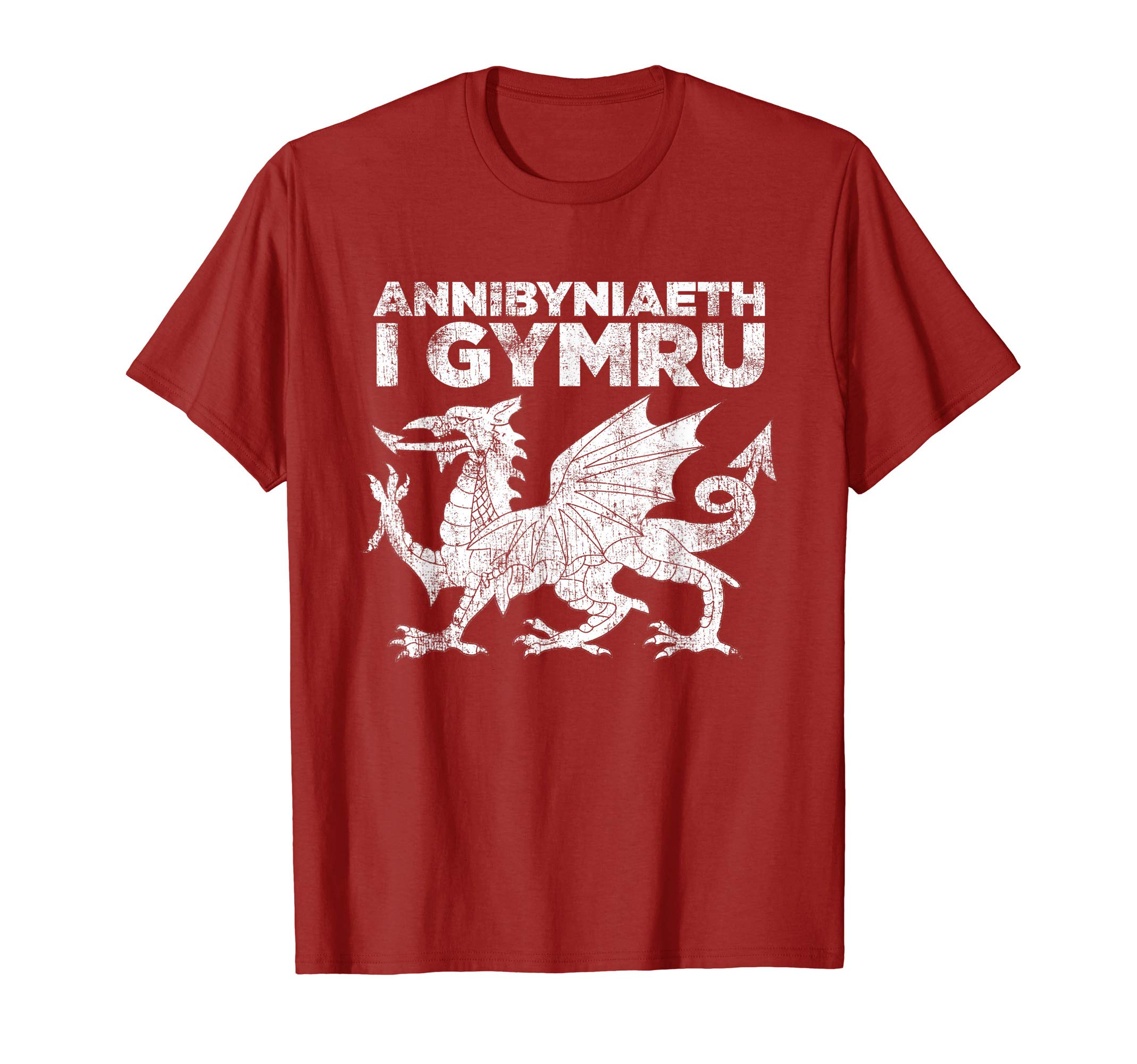 Welsh TshirtWelsh Independence Shirt Red Dragon Wales Cymru Annibyniaeth T-Shirt