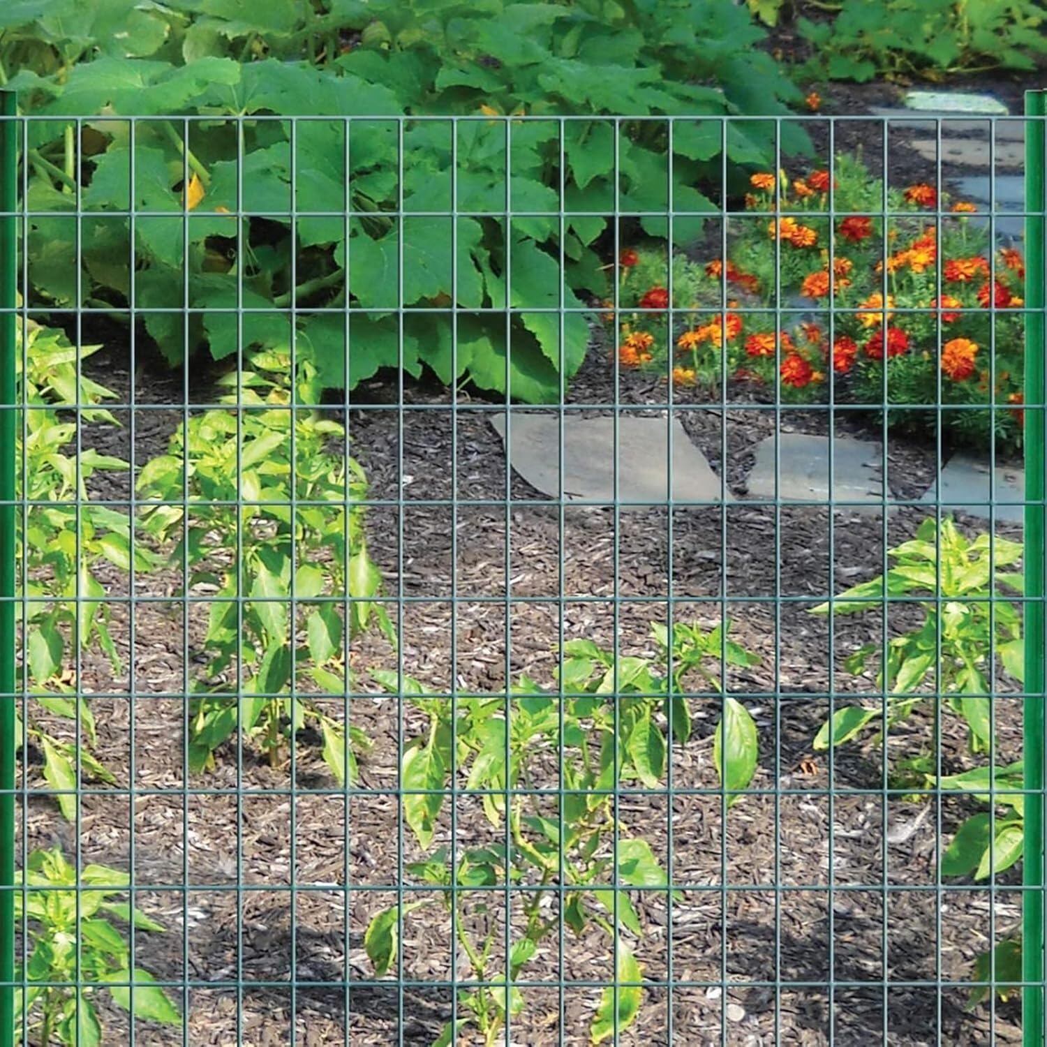 Rete per pollame da 3 cm - Recinzione agricola Pieghevole e tagliabile per Giardini e frutteti (1,5x18 m)