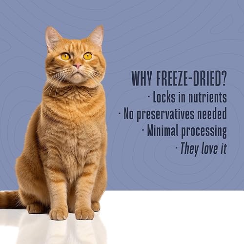 Miniatura 38 de Whole Life Cat Just One - Golosinas liofilizadas para gatos, alimentos de grado humano con alto contenido de proteínas, aperitivos de entrenamiento