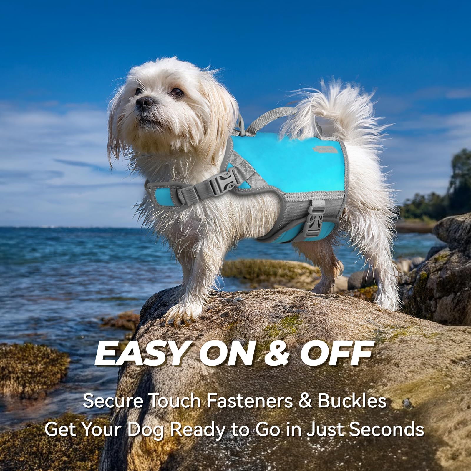 VIVAGLORY Veste de Flottaison en Néoprène pour Chien, Gilet de Sauvetage Confortable et Durable, Idéal pour la Natation et Les Activités Nautiques, Haute Flottabilité, XS, Bleu Sarcelle