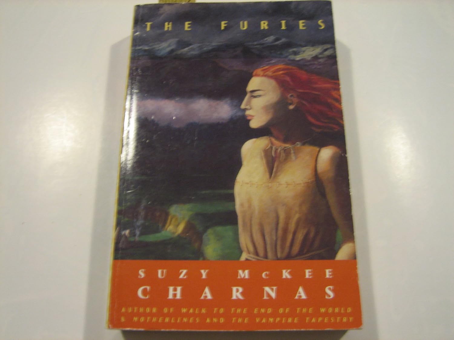 Furies Suzy McKee Charnas 9780704344228 Books