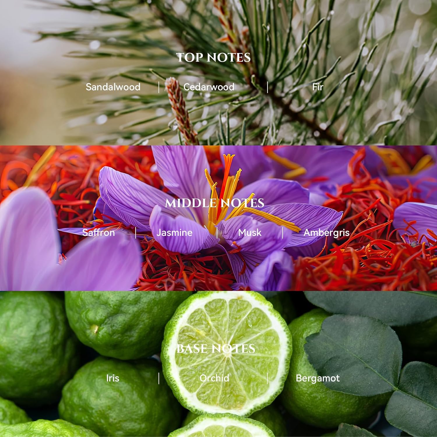 AROMADD Blacktail Ridge Diffuser Oil Inspired by Luxury Hotel Scent 3.38 Fl Oz (100ml), Aroma Diffuser & Hotel Fragrance Diffuser Oil, Essential Oil Diffuser for Aromatherapy, Long-Lasting - Image 2