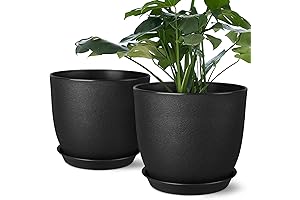 8 Inch Indoor Plant Pots: Add a Touch of Greenery with Our Durable, Drainage-Enhancing Planters