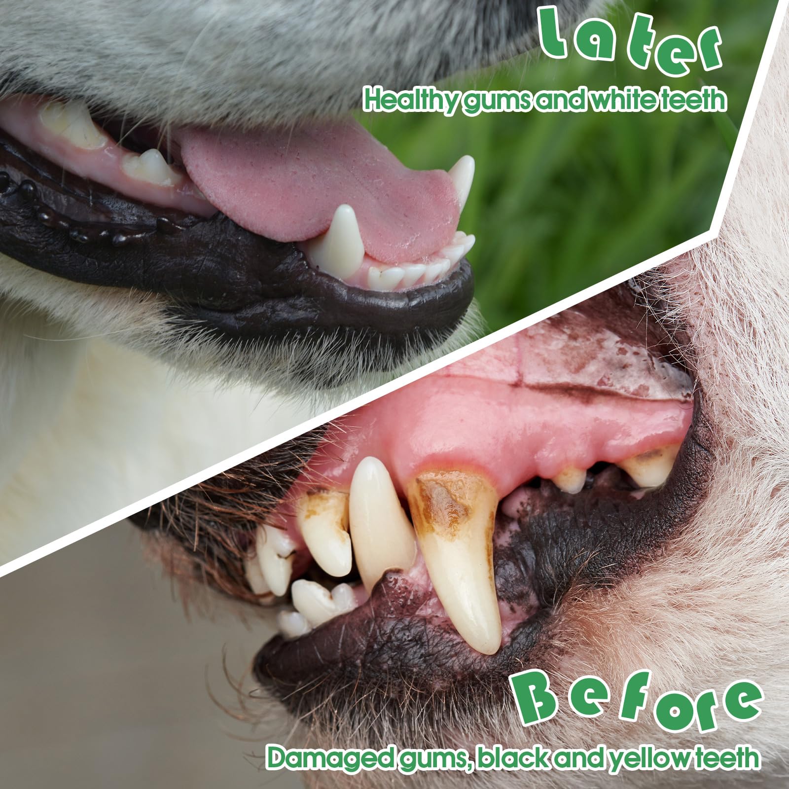 Gerrii 200 cepillos de dientes para perros, cepillo de dientes de doble cabeza para mascotas, mango largo, cerdas suaves, cepillo de dientes de mascotas para perros, gatos y la mayoría de mascotas