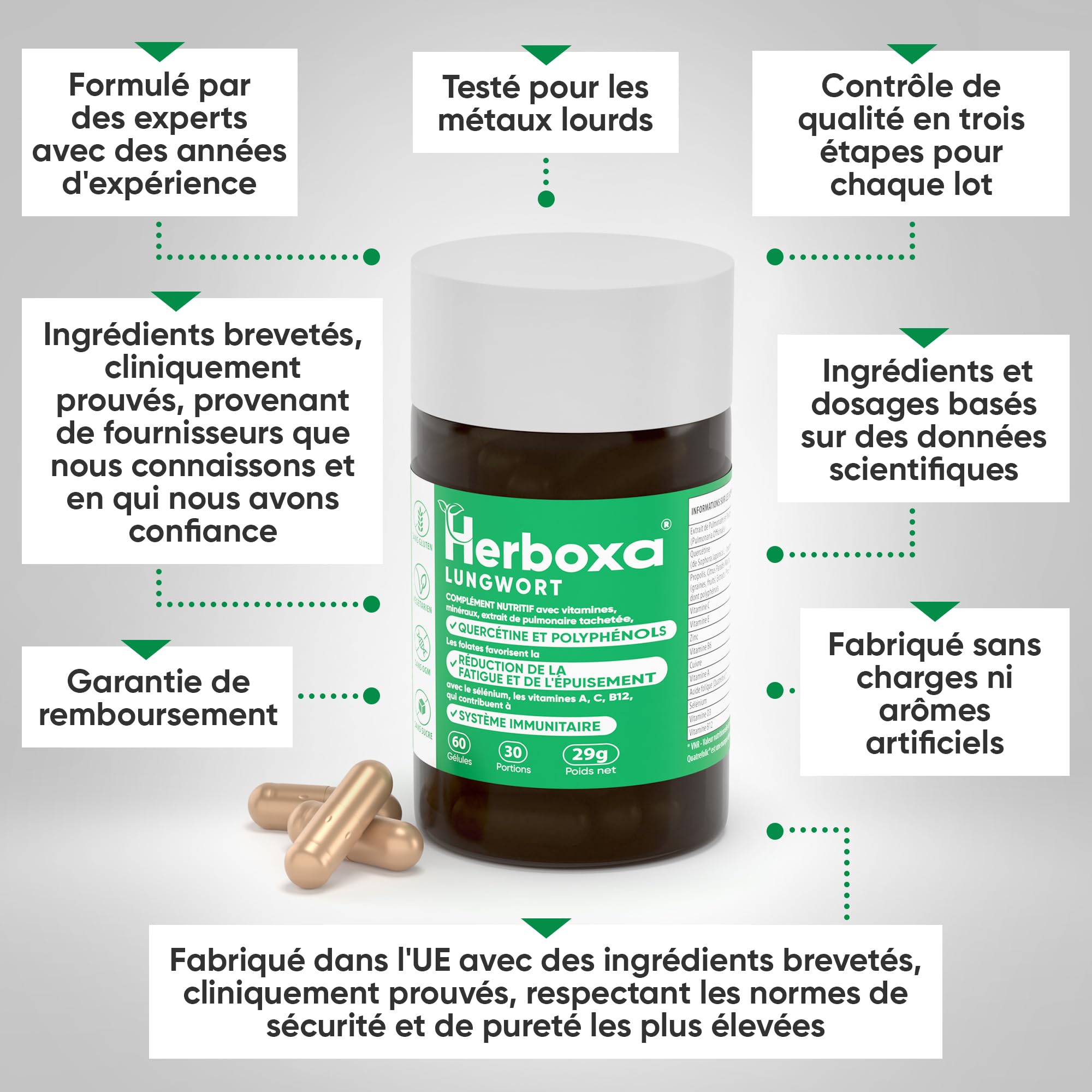 Herboxa Lungenkraut Mehrere Packungen (2 Stück) - mit geflecktes Lungenkraut - Enthält Folsäure, die Müdigkeit und Erschöpfung reduziert, Vitamin C, Quercetin, ProG-Phen - 60 Kapseln