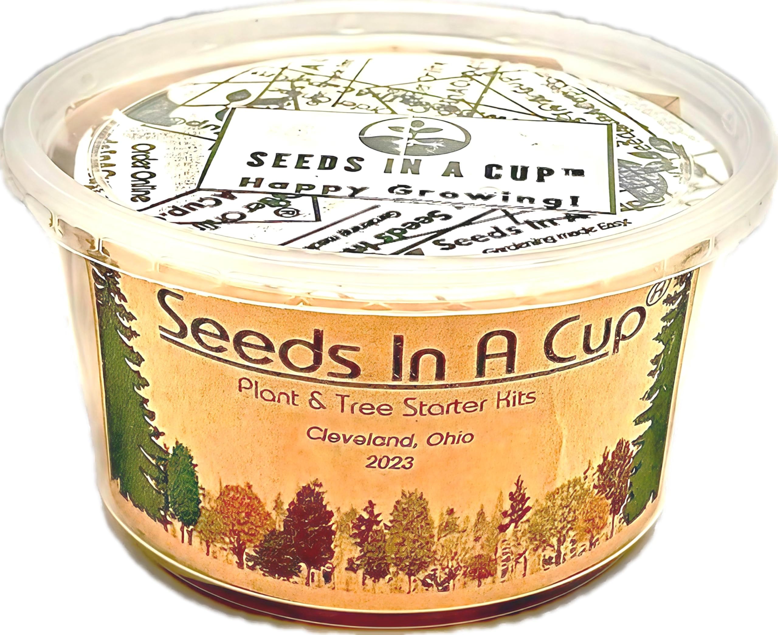 Easy to Grow Macadamia Tree Seed Starter Grow Kit with Recyclable Mini Greenhouse - Seeds In A Cup®