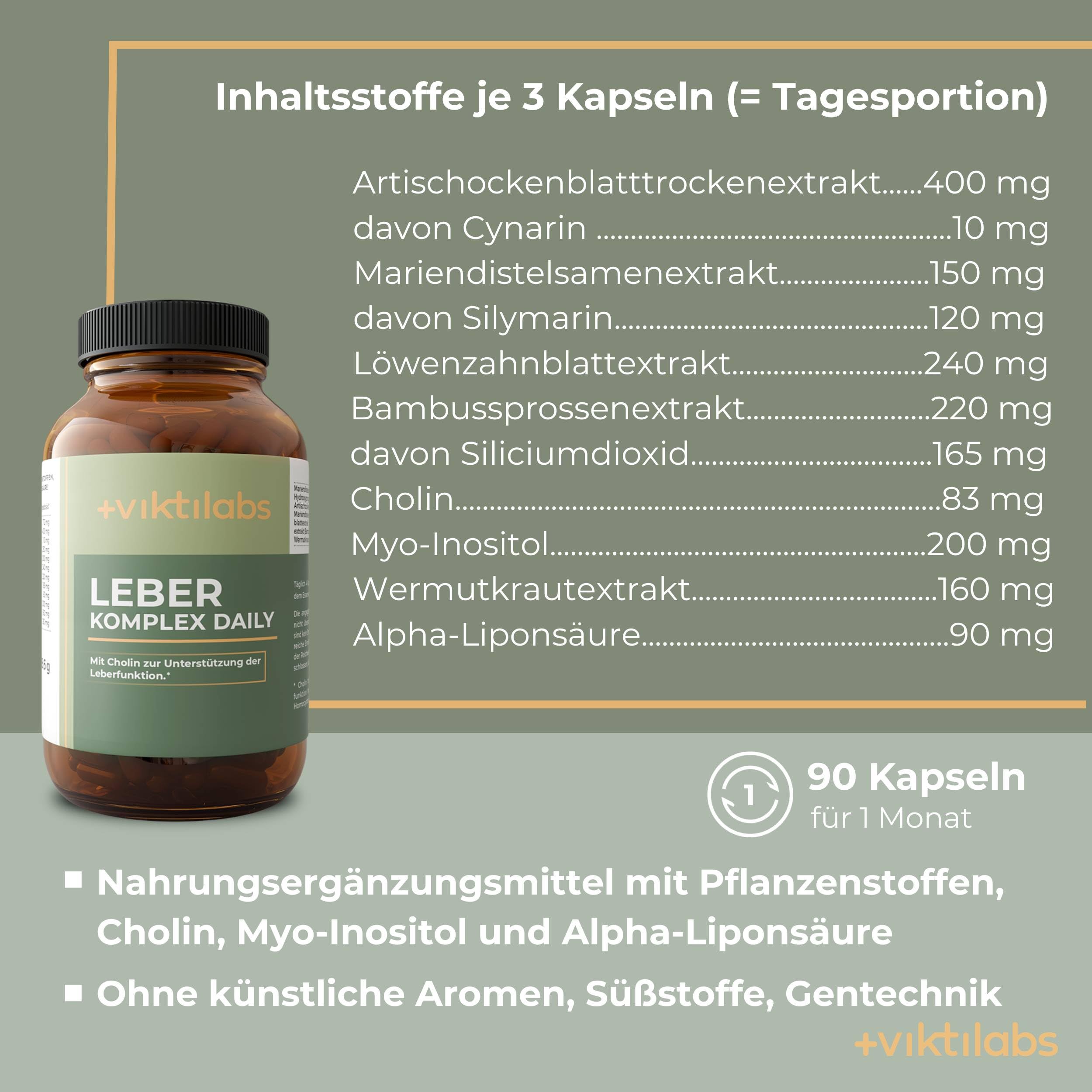 Leber Komplex Daily - 90 Kapseln | Mit Mariendistel, Artischocke, Löwenzahn, Cholin | Laborgeprüft | Ohne Zusätze & Vegan | Mariendistel Kapsel hochdosiert