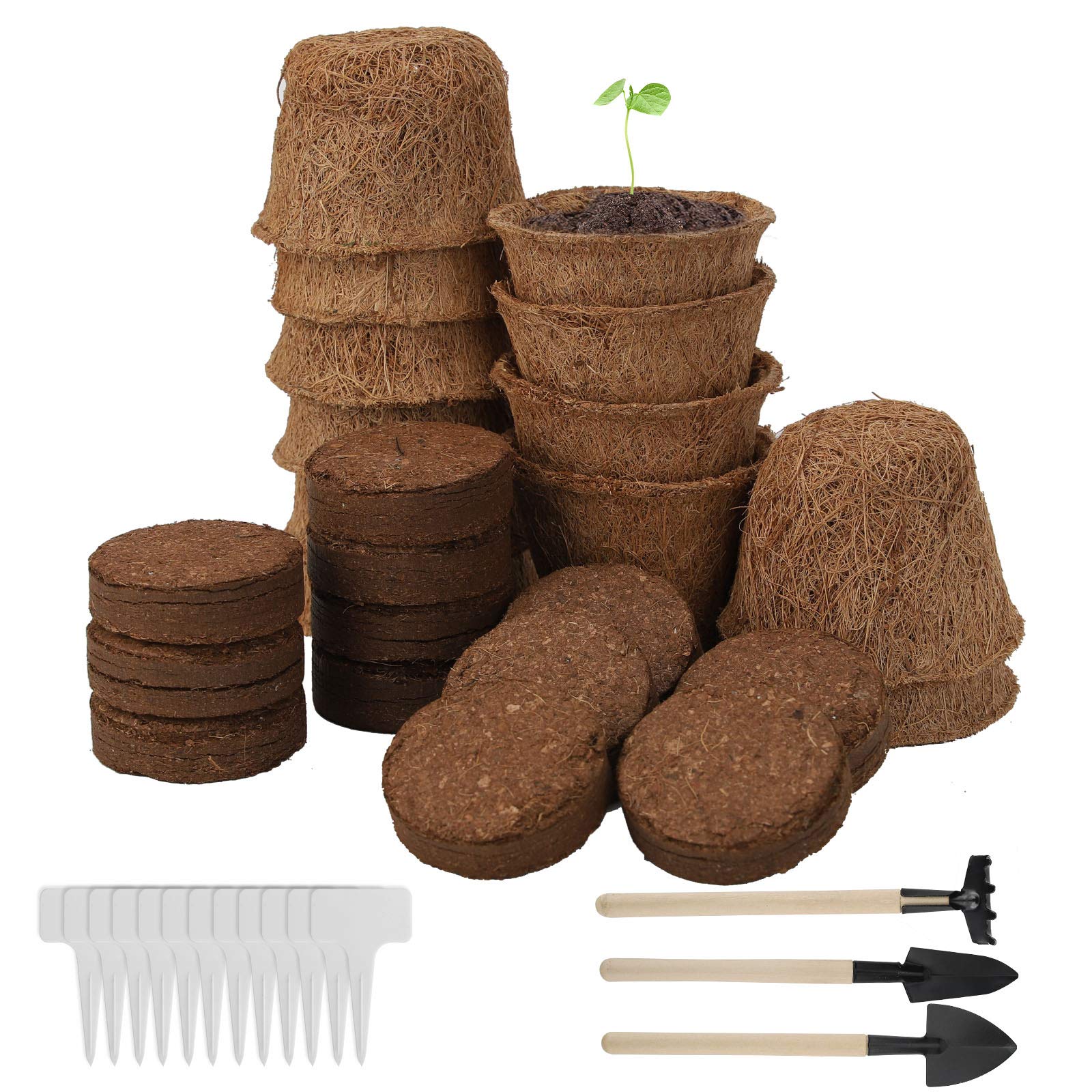 Vasi Biodegradabili Herefun - 30 Pezzi Con Etichette, Per Semina, Orto, Giardinaggio - Foto 7