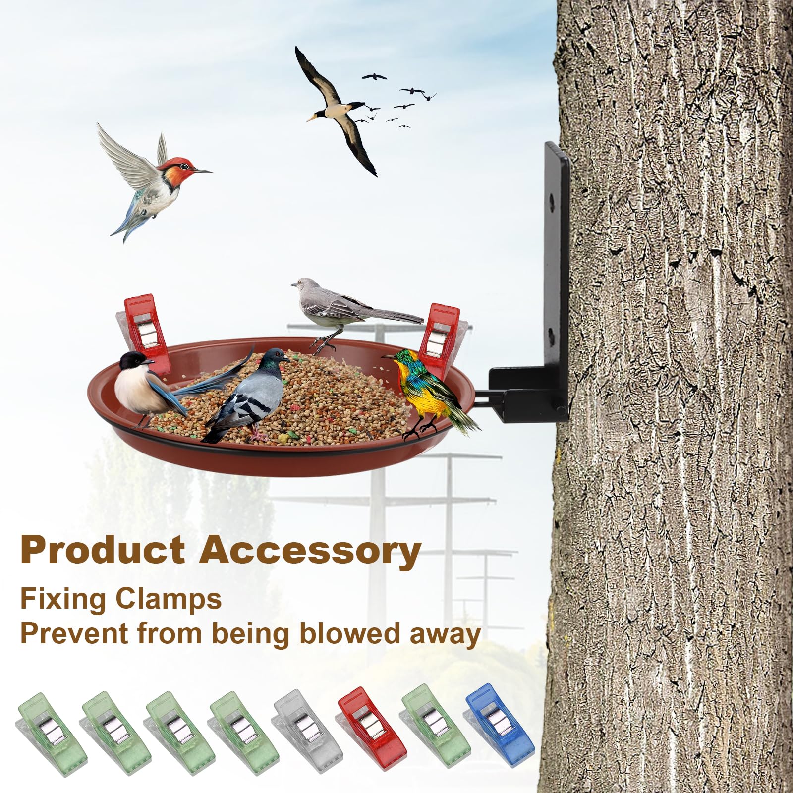 ZOFUN 6 Pcs Wall Mounted Bird Feeders, 18.5/17/16 cm Bird Feeders