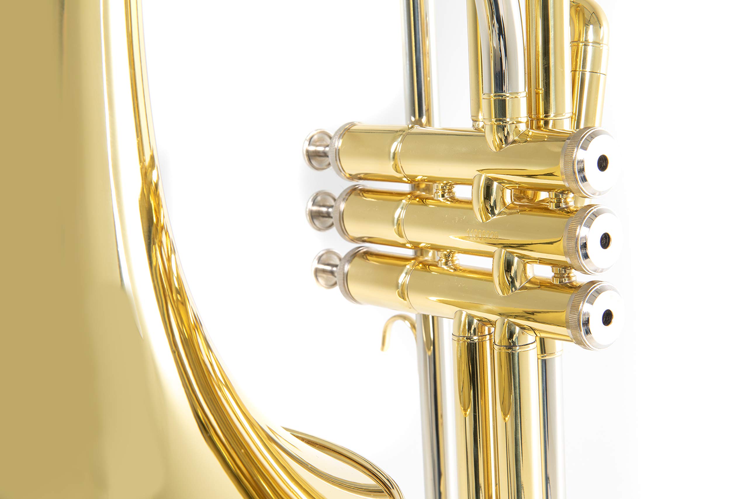 Roy Benson Bb valve trombone VT-227 (campana in ottone Premium da 8", tubo principale e archetto in alpacca, 3 valvole in acciaio inox, strumento di punta per musicisti professionisti)