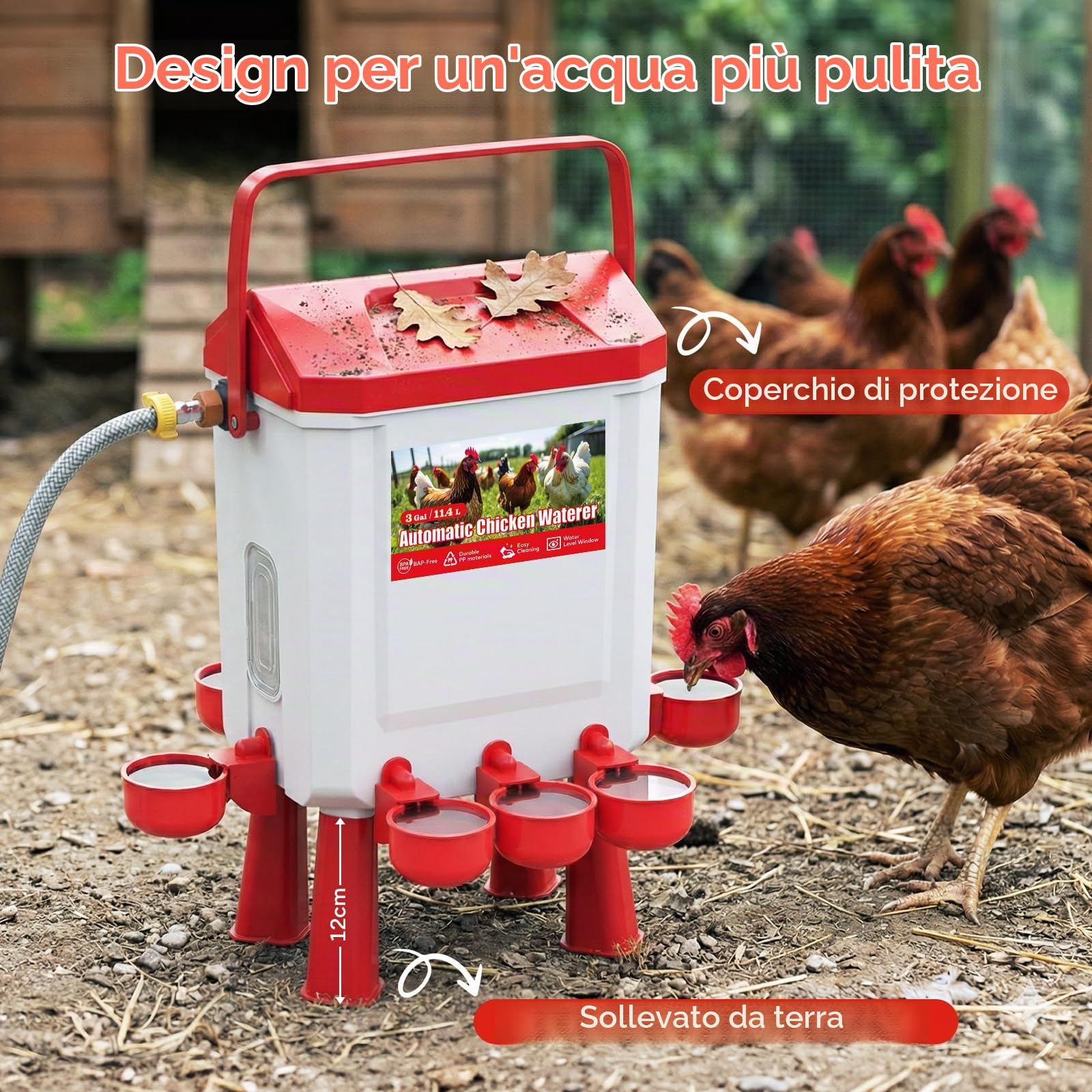 Abbeveratoio Galline Automatico 10 litri con Piedi, 8 Ciotole, Galleggiante Filtrato Controllato