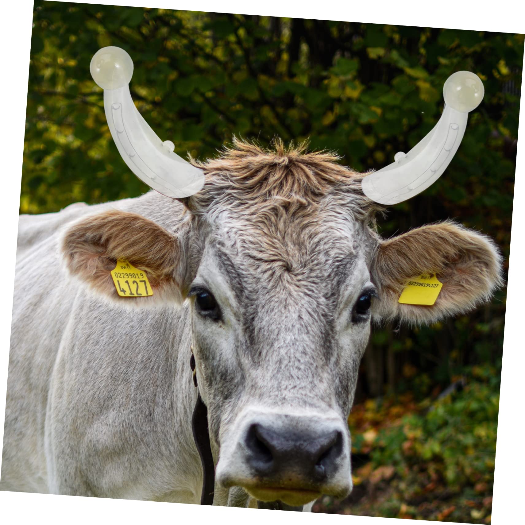 Hemobllo Protezione per Corna di Mucca in Silicone Resistente, Copertura Protettiva per Corno Bovino Design Ventilato, Set da 2 Paia per Uso Agricolo e Allevamento Ranch