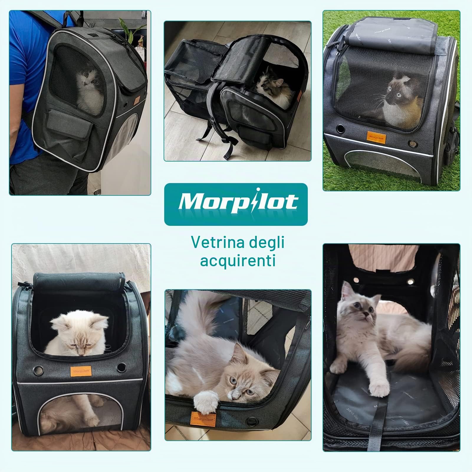 Morpilot Zaino per Gatti Cani Estensibile, Trasportino per Cani Gatti 8 kg, Portatile Zaino Cane Gatto per i viaggi in treno all'aperto