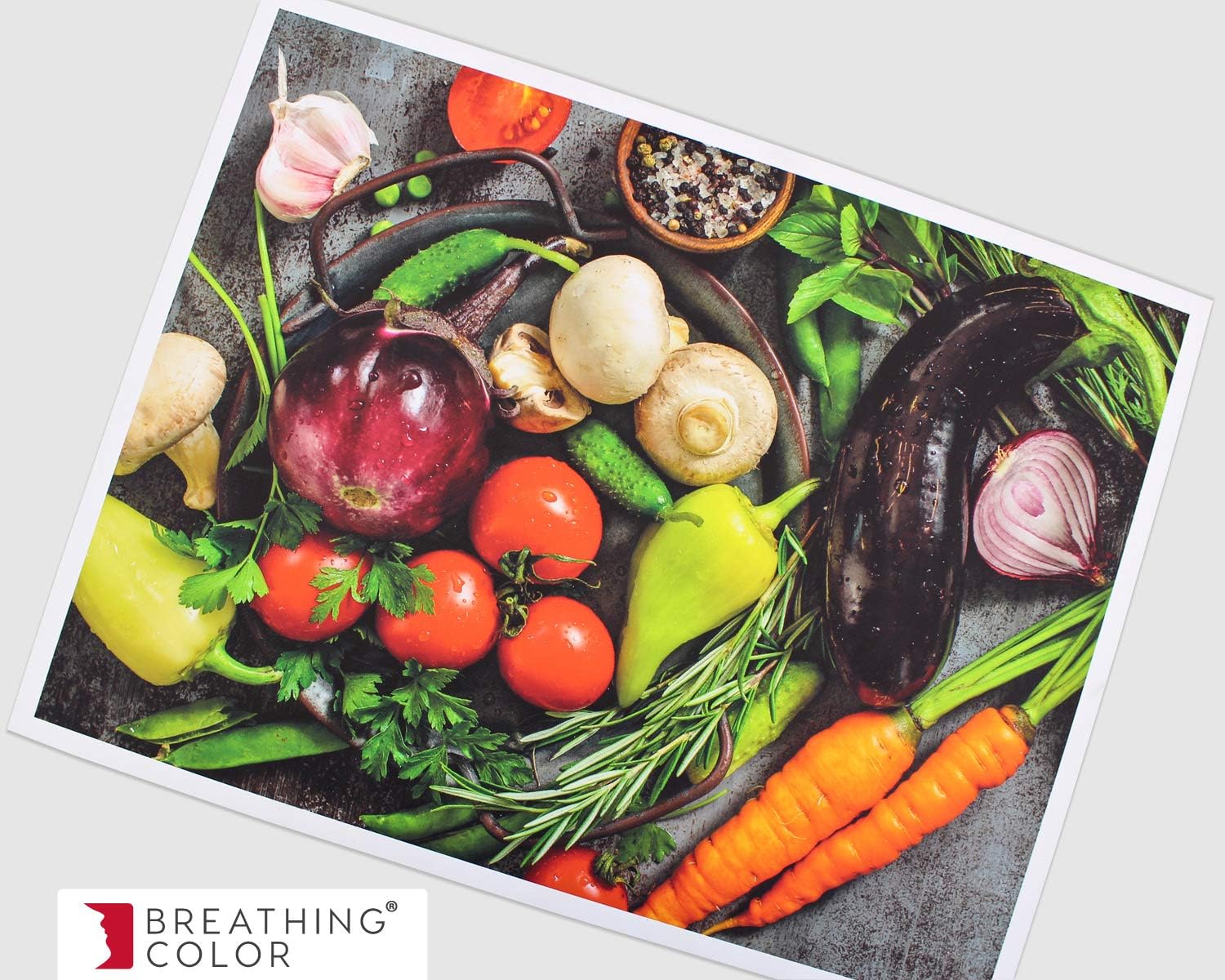 Breathing Color Insignia Scrim Vinyl - Affordable Matte Vinyl for Aqueous Inkjet Printers - Eye Popping Colors, High Definition Printing - 17"x10' (1 Sheet)