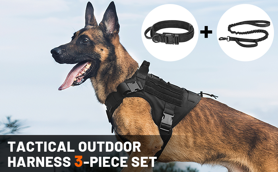 Forestpaw Taktisches Hundegeschirr-Set – Mit Halsband, Leine, Taschen, Für Große Hunde, Verstellbar