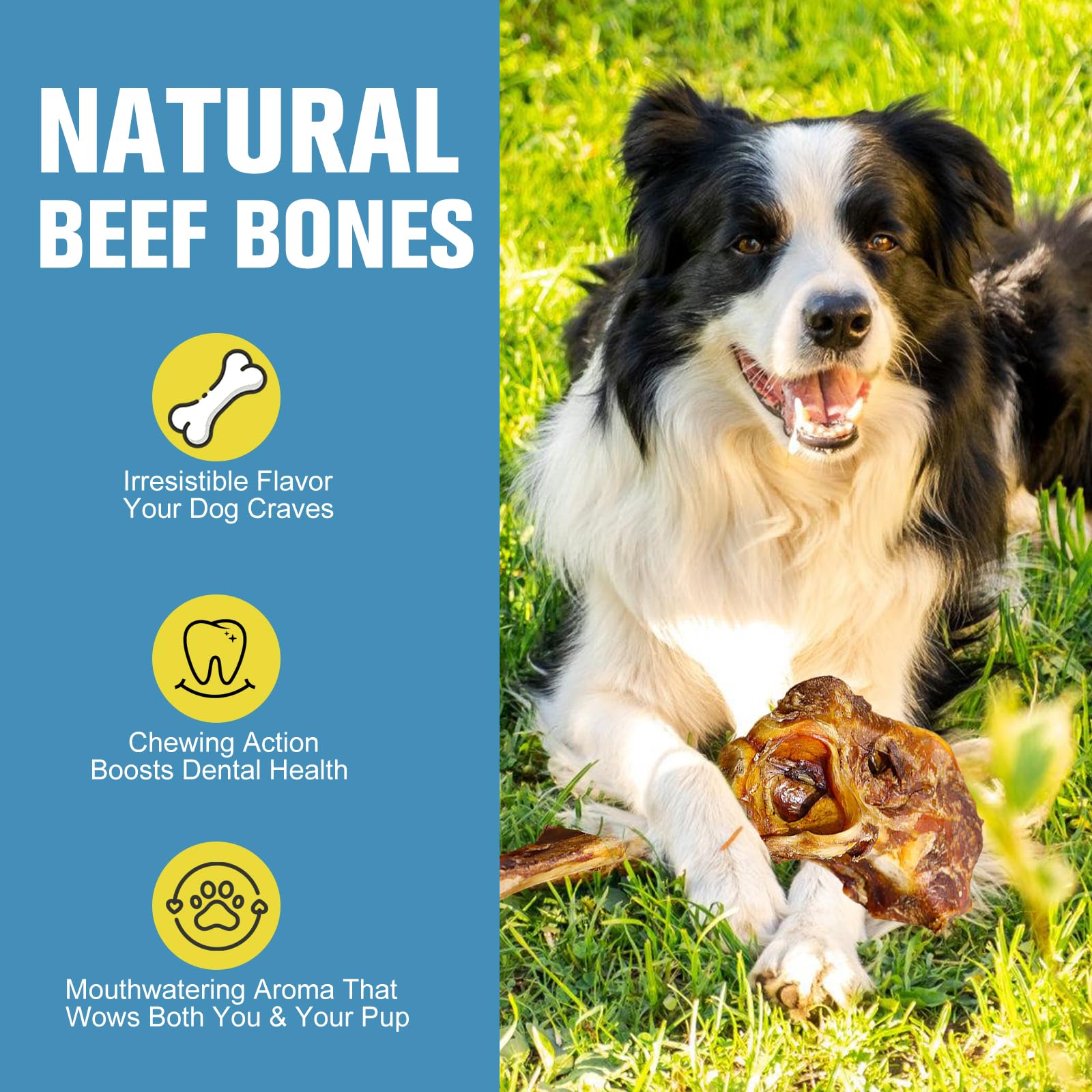 Hueso de Res Natural para Perro, Premio masticable Duradero, ingrediente único, Premio masticable digestible para Salud Dental (Paquete de 3)