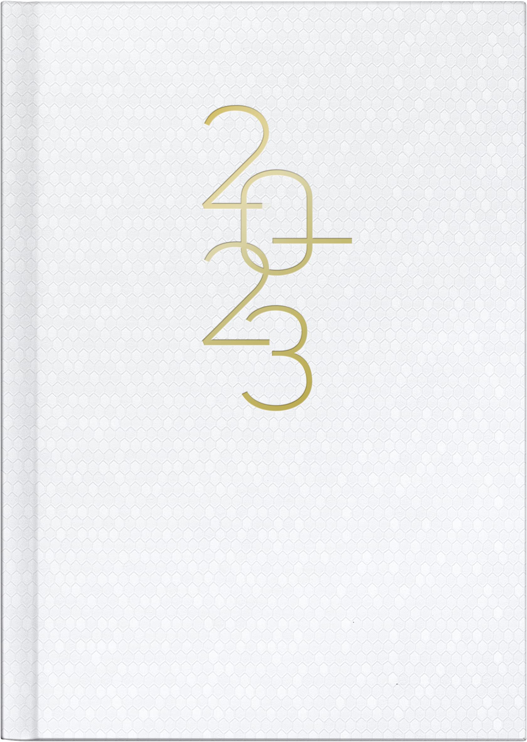rido/idé Mentor 2023 Daily Calendar Sheet Size 14.8 x 20.8 cm White