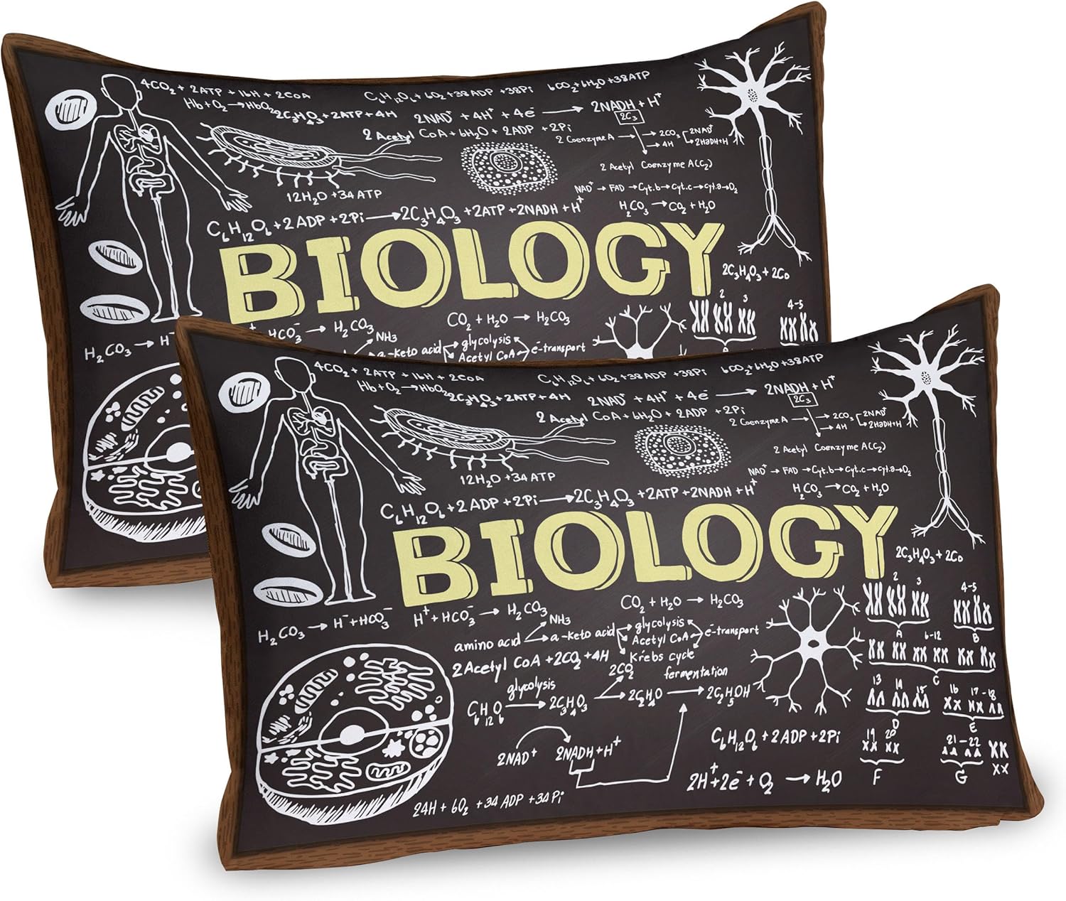 Ambesonne Science Pillow Sham Set of 2, Black Chalkboard Biology Hand Written, Quality Microfiber Bedding Item for All Seasons, 30" x 20", Black Brown Pale Yellow