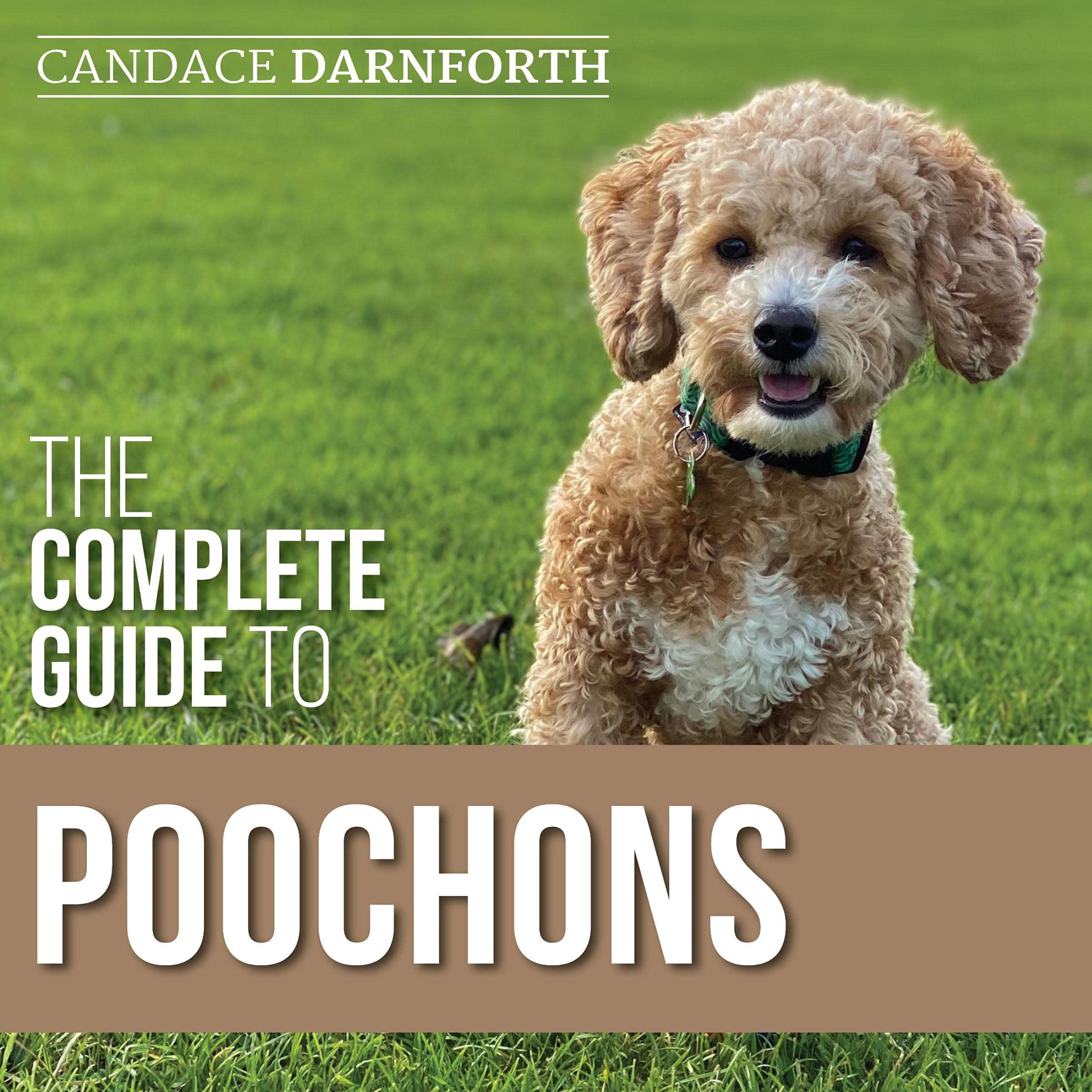 The Complete Guide to Poochons