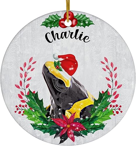 Green Holly Sombrero de Papá Noel Bumblebee Dart Frog Nombre Personalizado Adornos de Navidad 2023 Círculo Blanco Cerámica Dueño de Mascotas Regalos