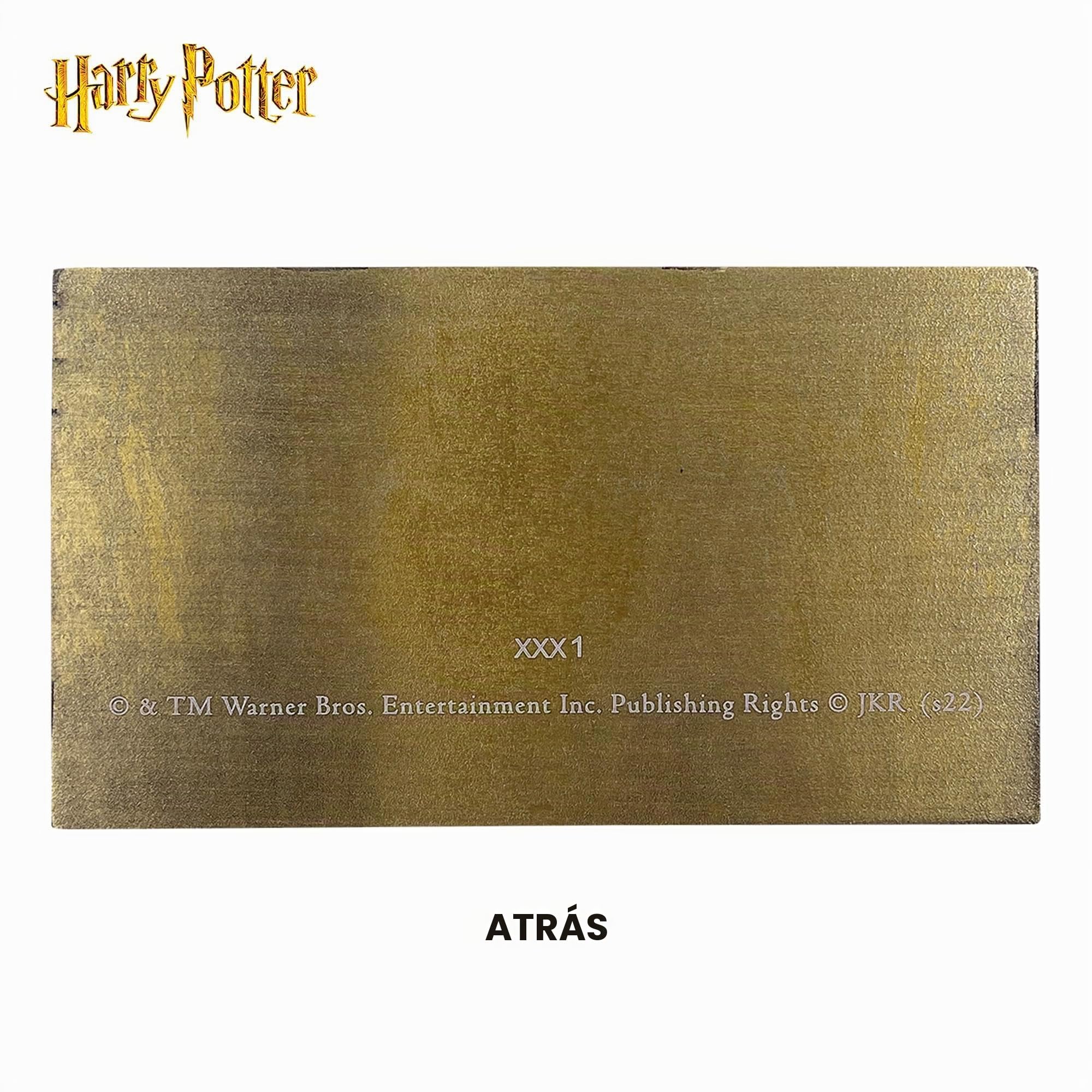 Fanattik Harry Potter Hogwarts Express - Billete de tren de edición limitada de metal