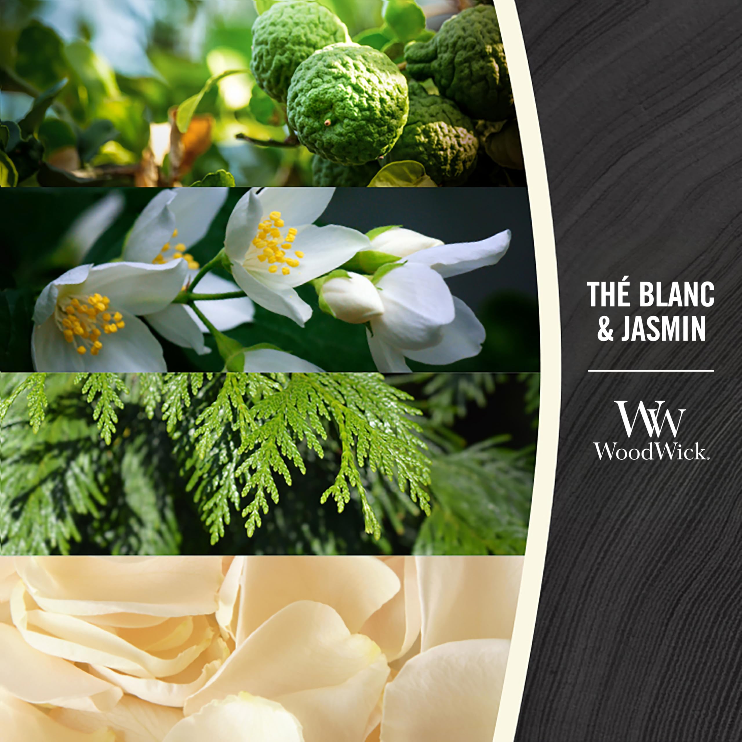 WoodWick bougie parfumée moyenne mèche bois crépitante Thé blanc jasmin 20h combustion