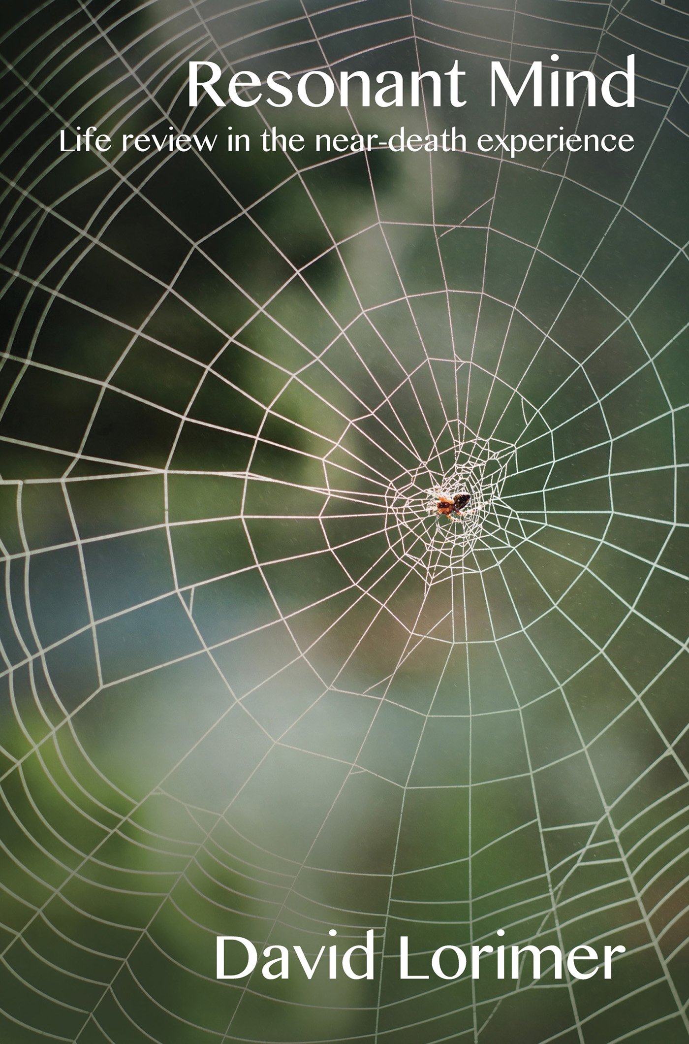 Resonant Mind: Life Review in the Near-Death Experience