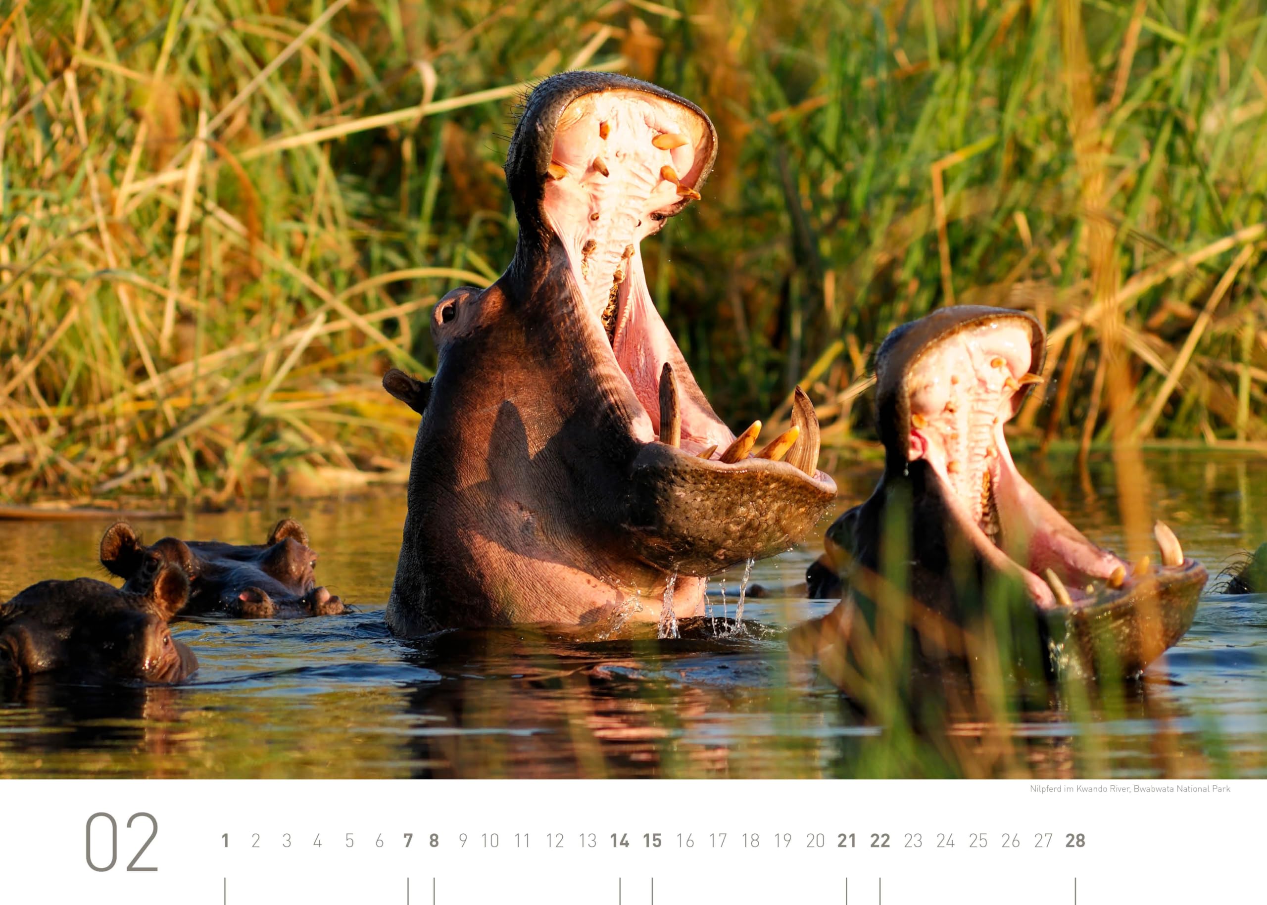 Namibia Exklusivkalender 2026 (360° Exklusivkalender 2026: Limited Edition (70 x 50 cm))