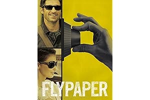 Flypaper: A Chilling NR-Rated Prime Film