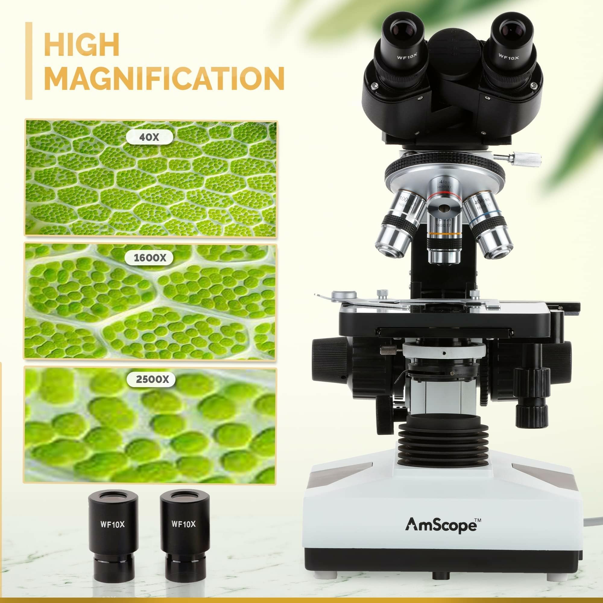 Amscope 7,7 kilogram full-size professionale binocolo composto microscopio biologico, 40 x -2000 x 3D con due strati da stadio + 1.3 MP fotocamera digitale USB