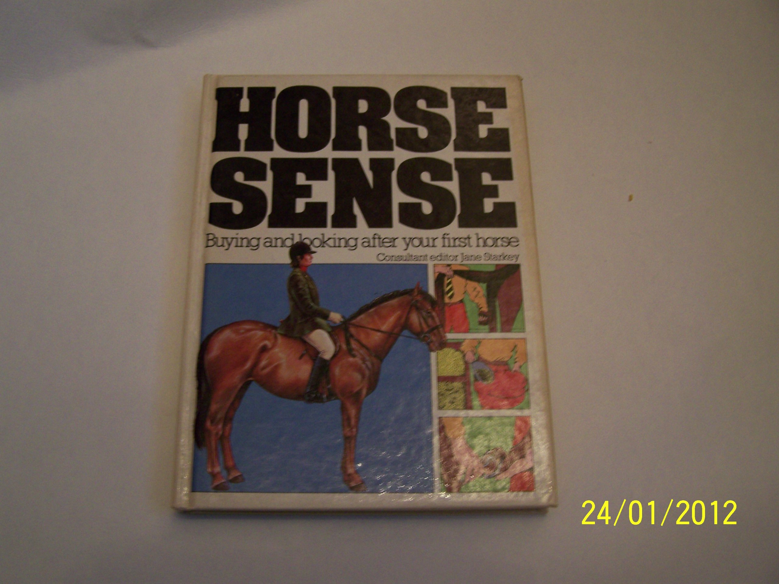 Horse Sense: Buying and Looking After Your First Horse