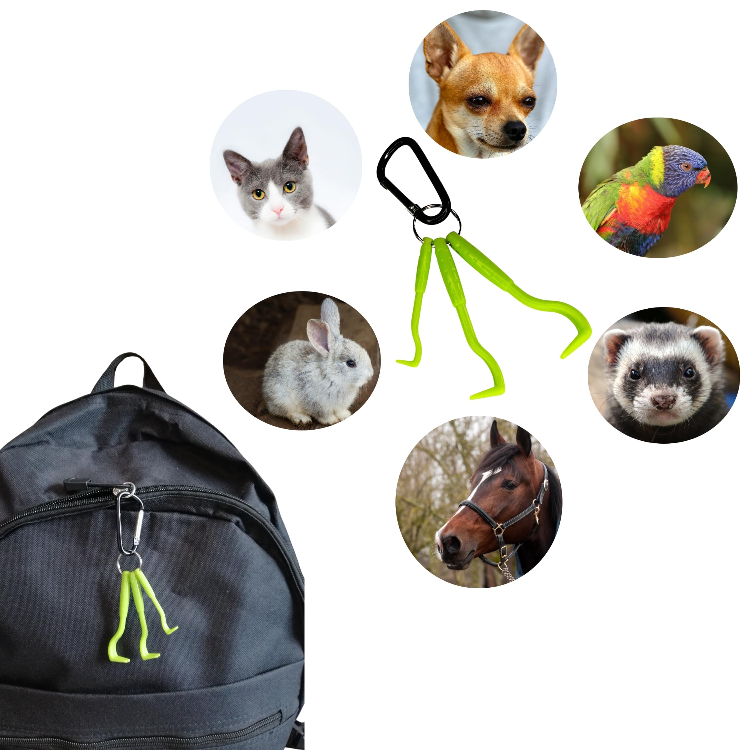 Tire Tique Pince a tique et crochets anti tiques pour chat chien humain. Crochet en acier inoxydable Retire/enlève/supprime/attrape parasites Kit de 2 lots de 3 pcs crochets pinces anti tiques vert