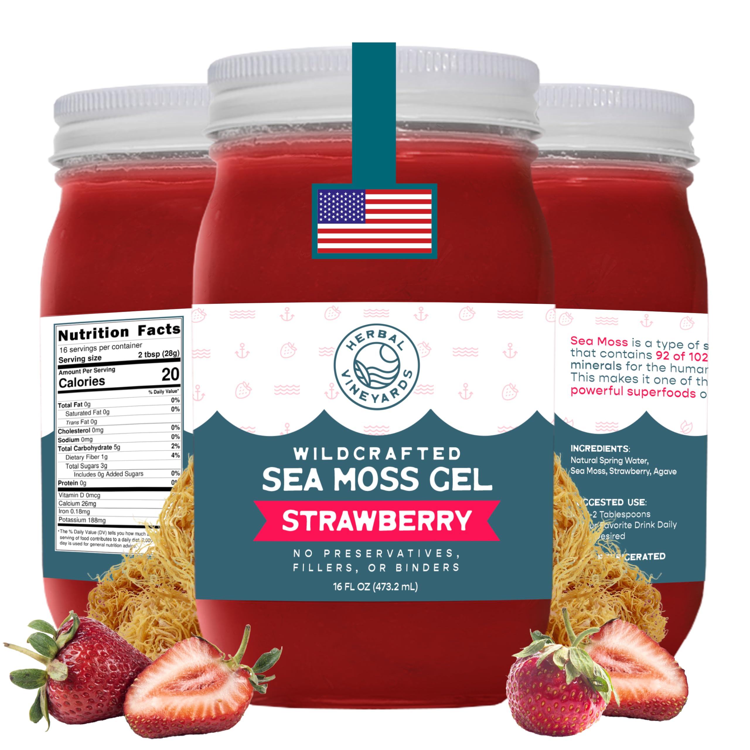 Herbal Vineyards Wildcrafted Irish Strawberry Sea Moss Gel 16 Oz - Organic Seamoss Gel Made with Dried Seaweed & Fresh Sea Vegetables, Natural & Plant-Based, Harvested in Pristine Waters, USA