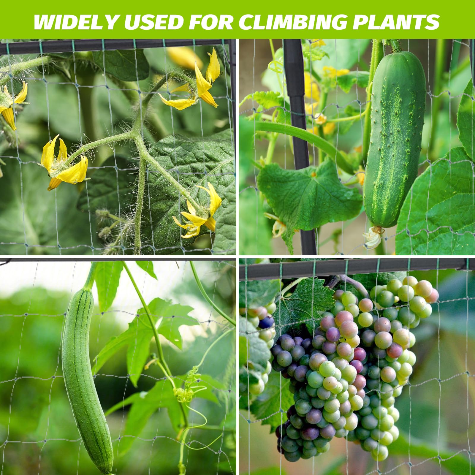 Enrejado De Arco De Jardín Alto Para Plantas Trepadoras, 87 | Meses Sin  Interés, image size:1600x1600