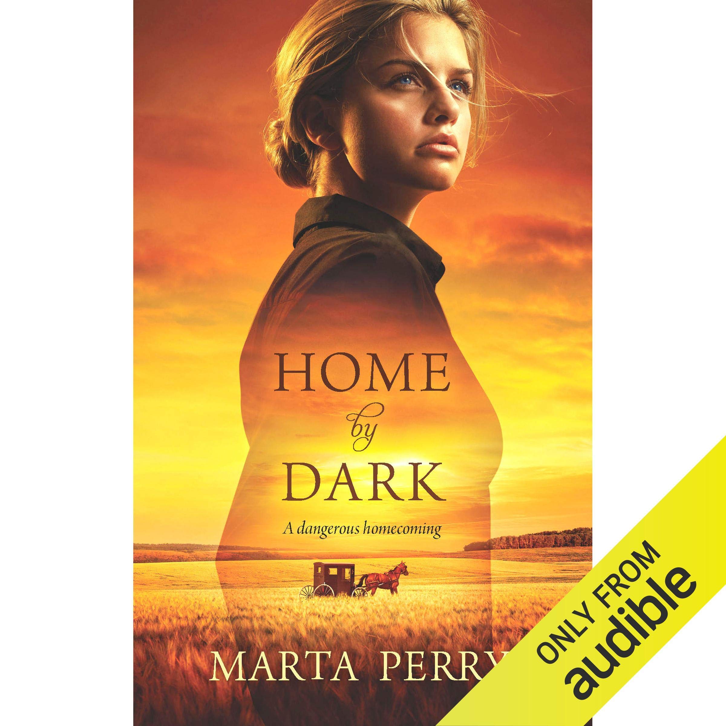 Cover art for Home by Dark