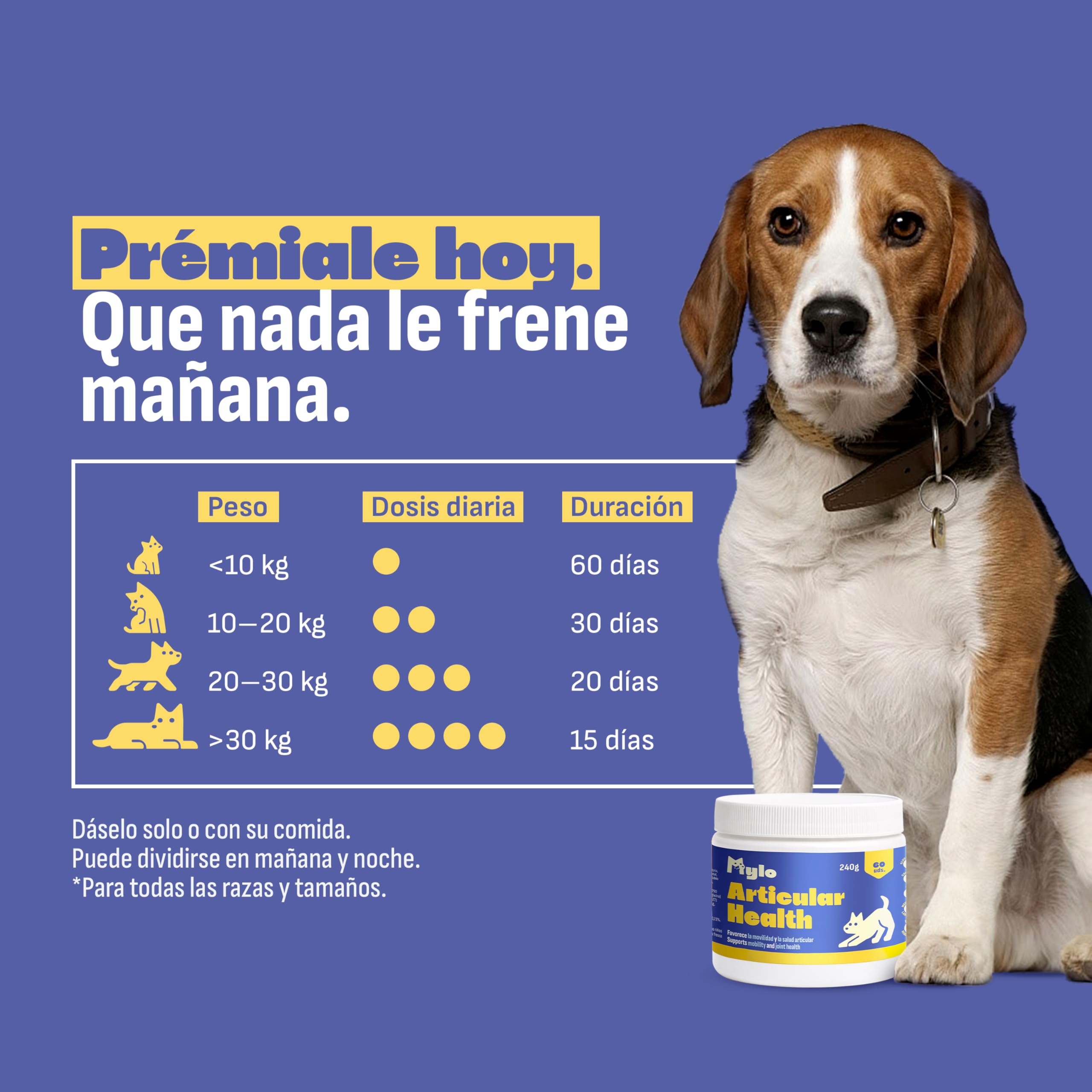 MYLO Condroprotector Perros Articulaciones Perro, Movilidad y Confort. Glucosamina, MSM y Colágeno para Fortalecer Cartílago. Mejillón de Labio Verde Antiinflamatorio Perros Natural. 60 Uds