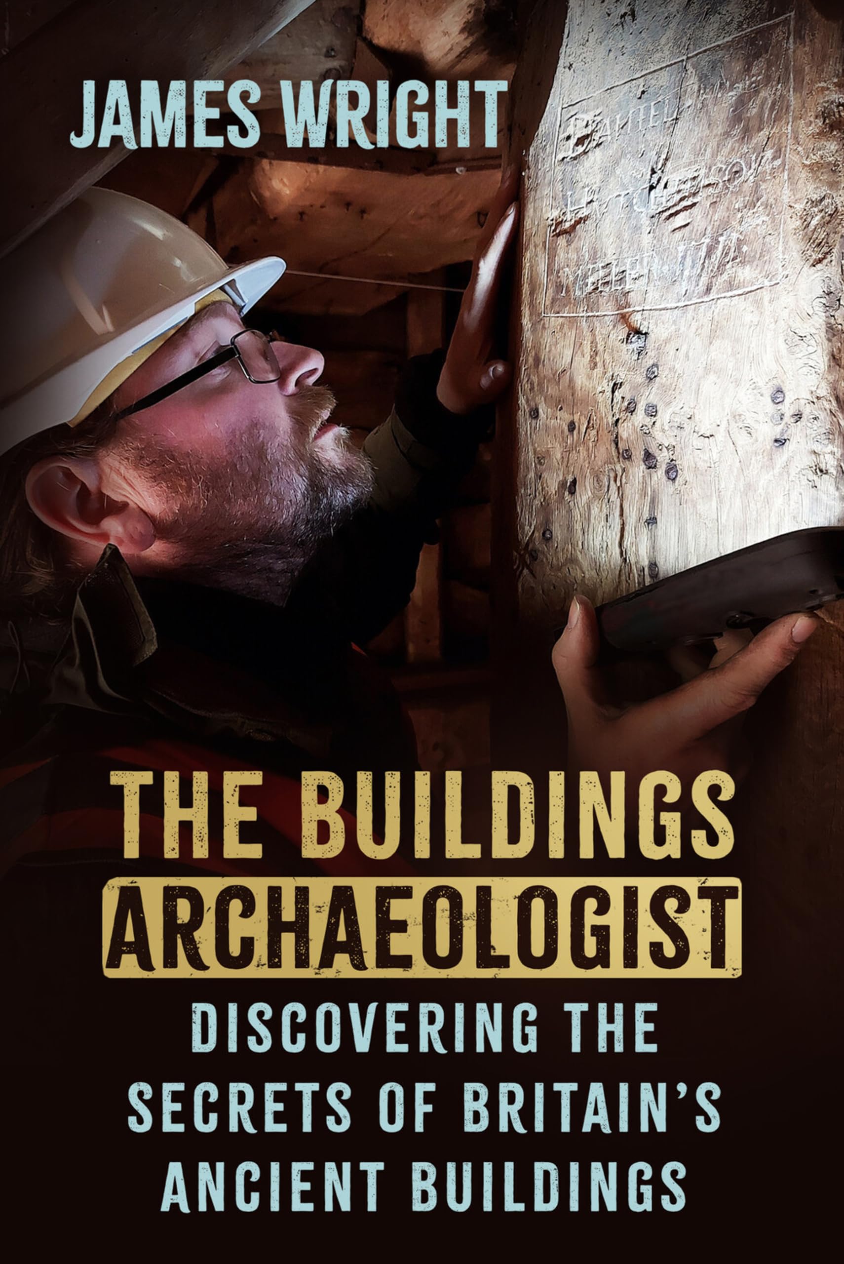 The Buildings Archaeologist: Discovering the Secrets of Britain's Ancient Buildings